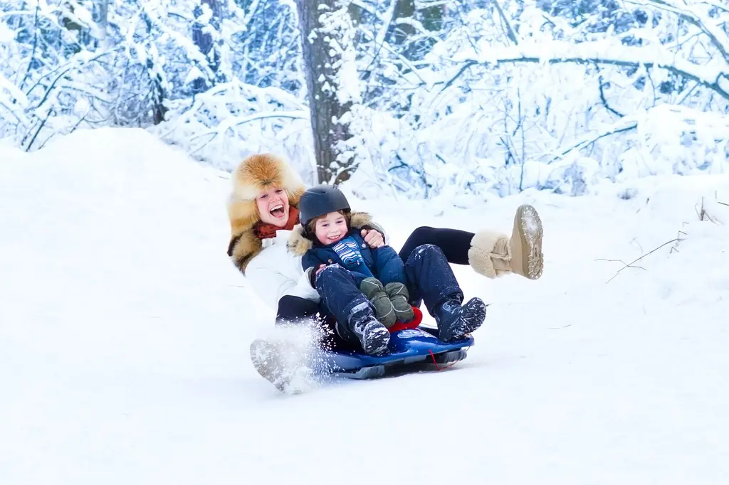 Toboggan Safety For Kids And Families - Gluckstein Lawyers